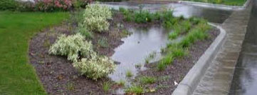 PDH Course - Construction of a Complete Rain Garden