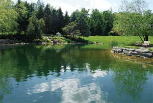 Pond Construction and Design